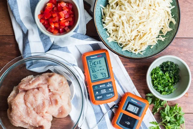 digitale vlees thermometer
